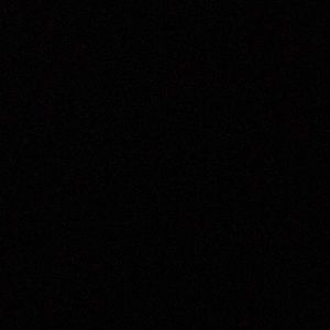 Meet your Posher, Bailey